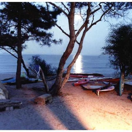 Domaine De L'Avidanella Apartment ซองตา-ลูเซีย-ดิ-มอเรียนิ ภายนอก รูปภาพ