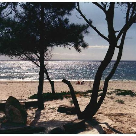Domaine De L'Avidanella Apartment ซองตา-ลูเซีย-ดิ-มอเรียนิ ภายนอก รูปภาพ