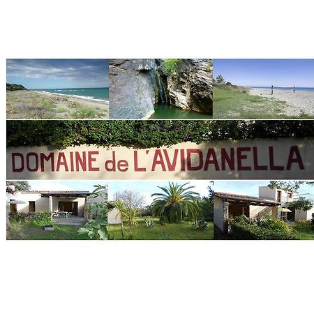 Domaine De L'Avidanella Apartment ซองตา-ลูเซีย-ดิ-มอเรียนิ ภายนอก รูปภาพ