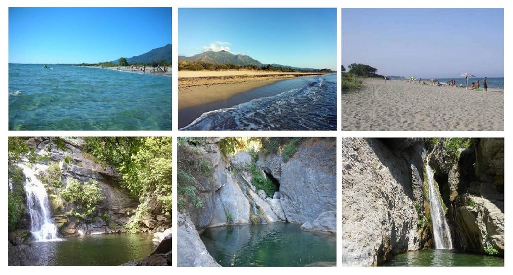 Domaine De L'Avidanella Apartment ซองตา-ลูเซีย-ดิ-มอเรียนิ ภายนอก รูปภาพ