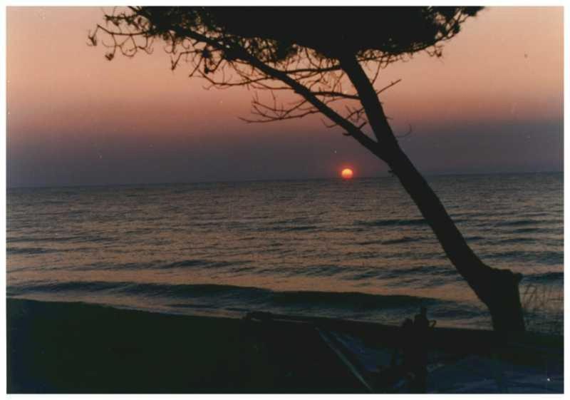 Domaine De L'Avidanella Apartment ซองตา-ลูเซีย-ดิ-มอเรียนิ ภายนอก รูปภาพ