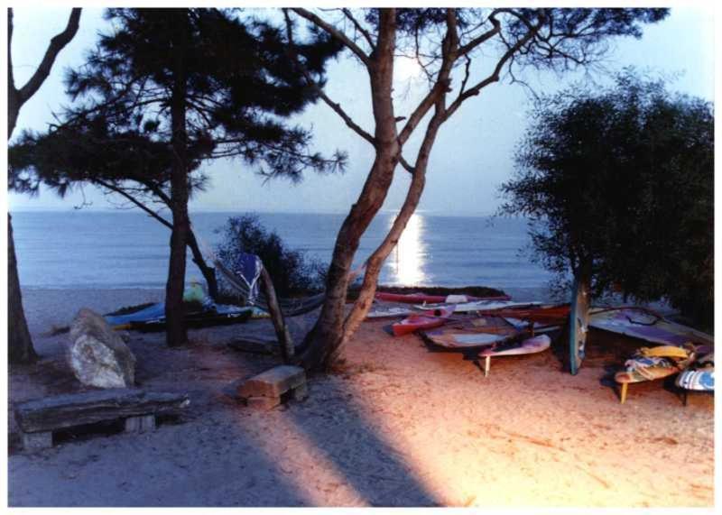 Domaine De L'Avidanella Apartment ซองตา-ลูเซีย-ดิ-มอเรียนิ ภายนอก รูปภาพ