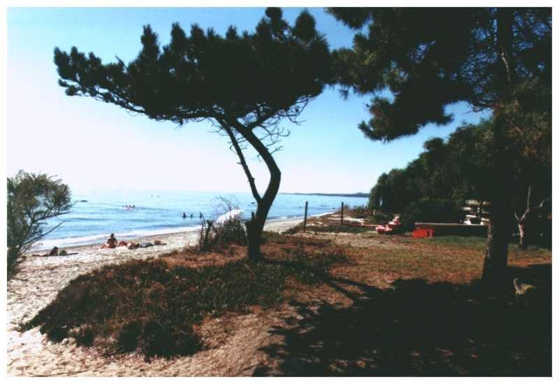 Domaine De L'Avidanella Apartment ซองตา-ลูเซีย-ดิ-มอเรียนิ ภายนอก รูปภาพ