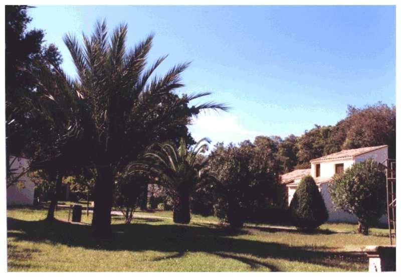 Domaine De L'Avidanella Apartment ซองตา-ลูเซีย-ดิ-มอเรียนิ ภายนอก รูปภาพ