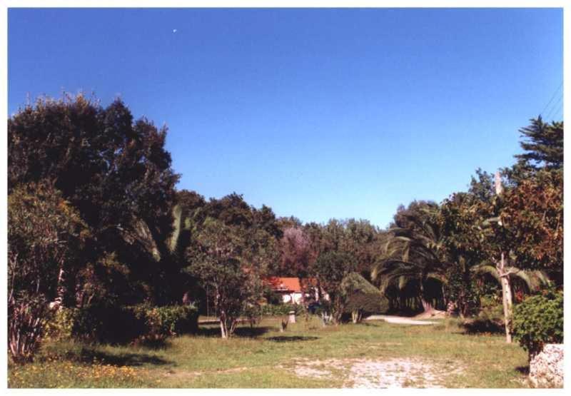 Domaine De L'Avidanella Apartment ซองตา-ลูเซีย-ดิ-มอเรียนิ ภายนอก รูปภาพ