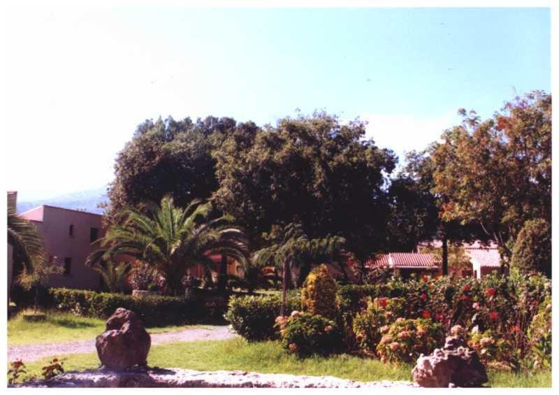 Domaine De L'Avidanella Apartment ซองตา-ลูเซีย-ดิ-มอเรียนิ ภายนอก รูปภาพ