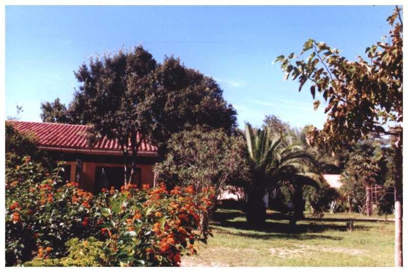 Domaine De L'Avidanella Apartment ซองตา-ลูเซีย-ดิ-มอเรียนิ ภายนอก รูปภาพ