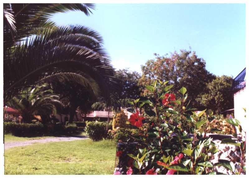 Domaine De L'Avidanella Apartment ซองตา-ลูเซีย-ดิ-มอเรียนิ ภายนอก รูปภาพ