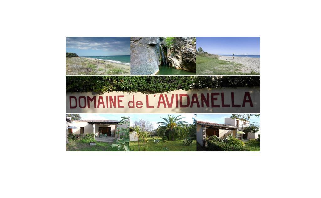 Domaine De L'Avidanella Apartment ซองตา-ลูเซีย-ดิ-มอเรียนิ ภายนอก รูปภาพ
