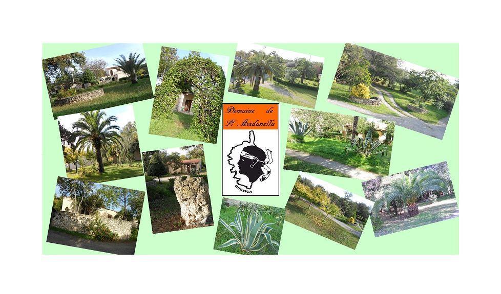 Domaine De L'Avidanella Apartment ซองตา-ลูเซีย-ดิ-มอเรียนิ ภายนอก รูปภาพ